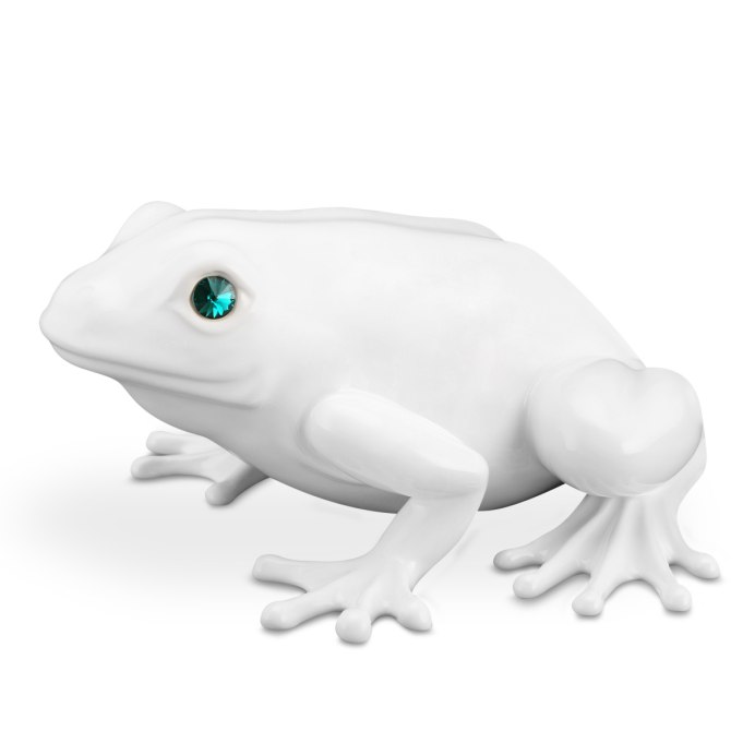 Зеленая лягушка на белом фоне