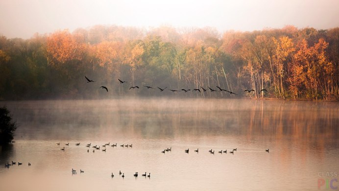 Осень журавлиный Клин