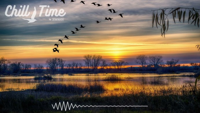 Журавль в небе