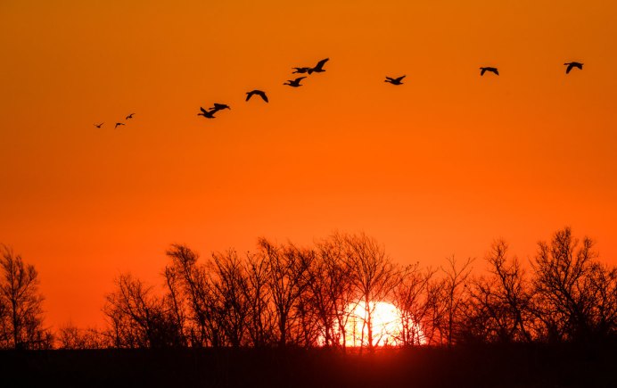 Осенний журавлиный Клин