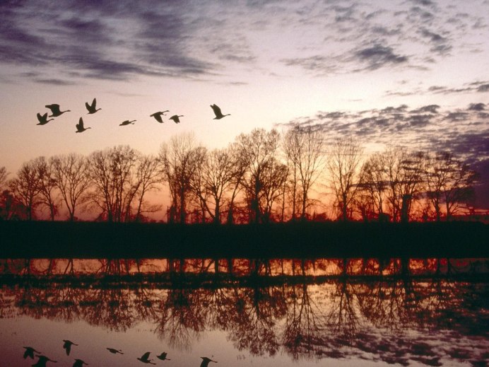 Журавлиный Клин осенью