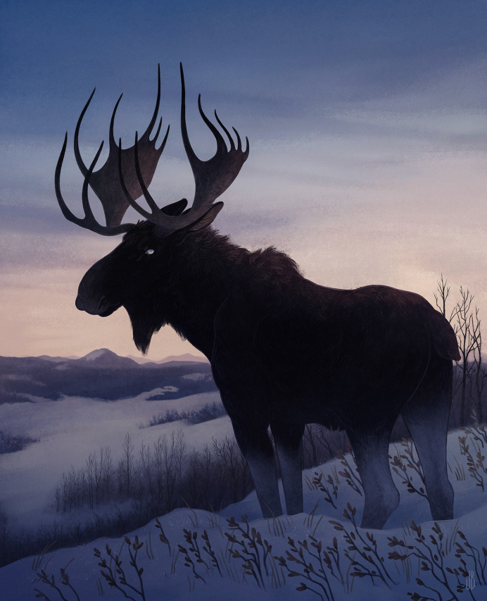 Животные вепсского леса