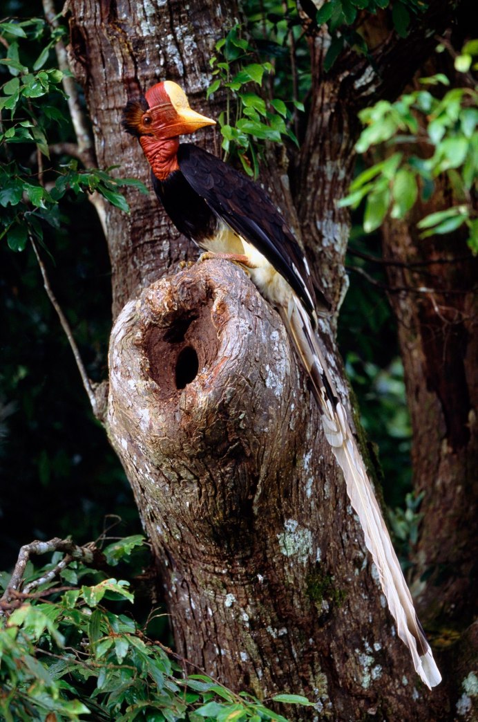 Ансамбль Билл эпох