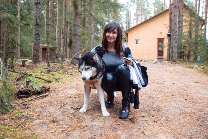 Великобританский волки