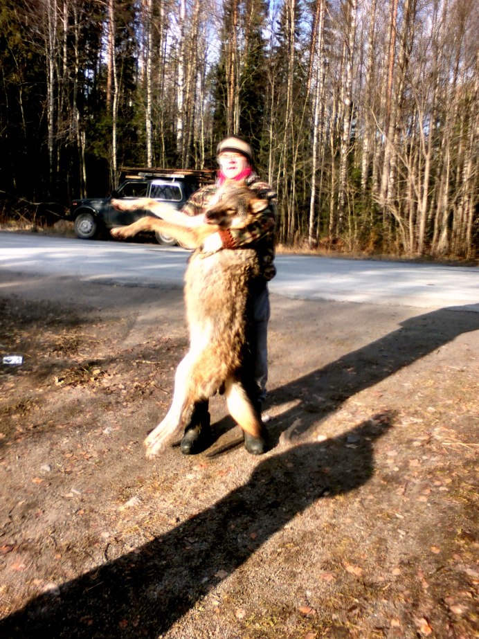 Кудама хаски