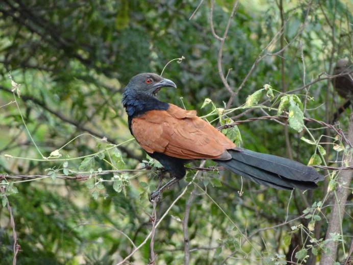 Rapeepong phataiwunnakul / Shutterstock