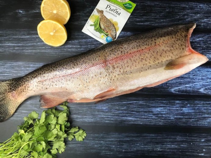 Salmo trutta fario
