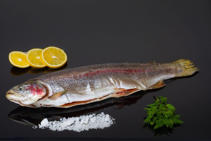 Арктический голец Salvelinus Alpinus