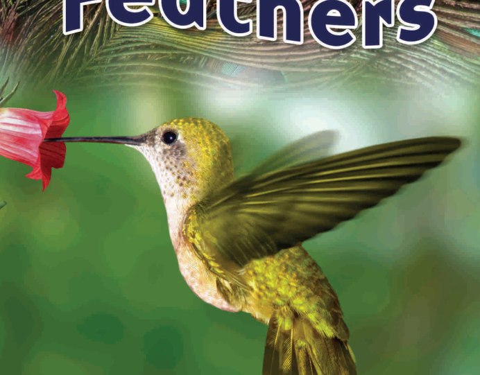 Птица желто зеленого цвета