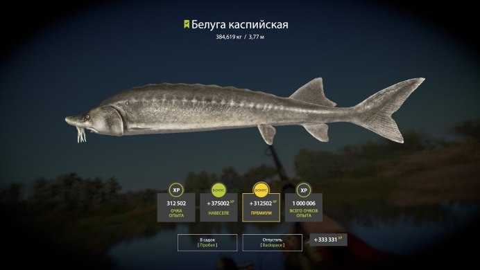Осетр рекорд