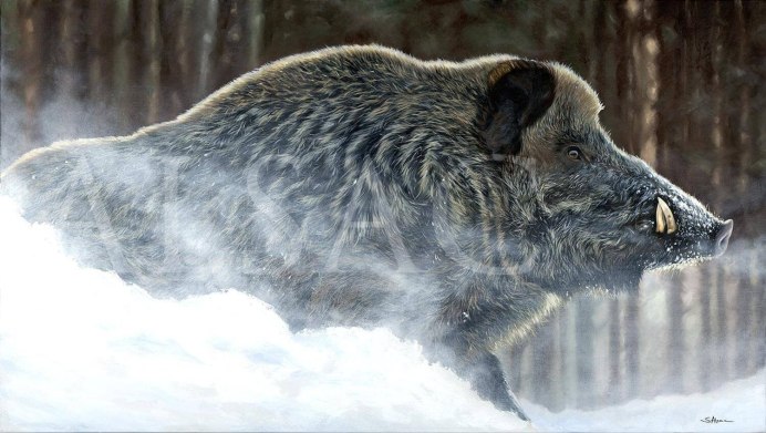 Кабан Вепрь секач 600 кг