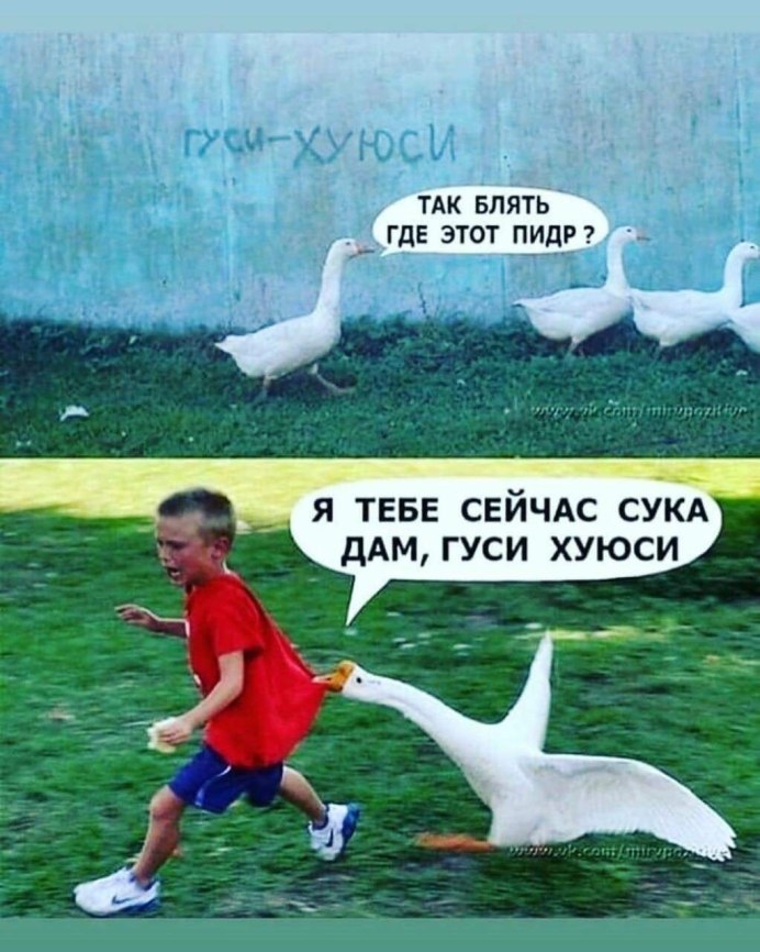 Утка с человеческими ногами