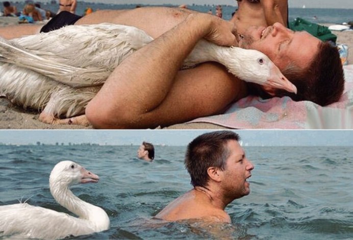 Страшный Гусь