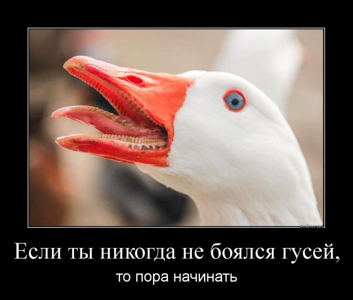 Страшный Гусь