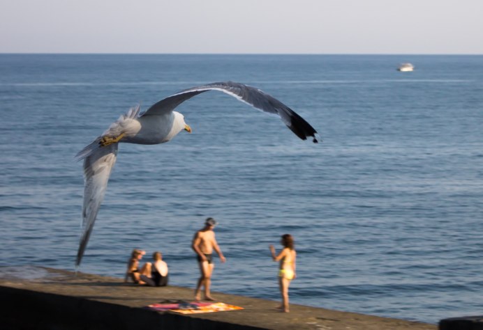 Крымский заповедник Алушта