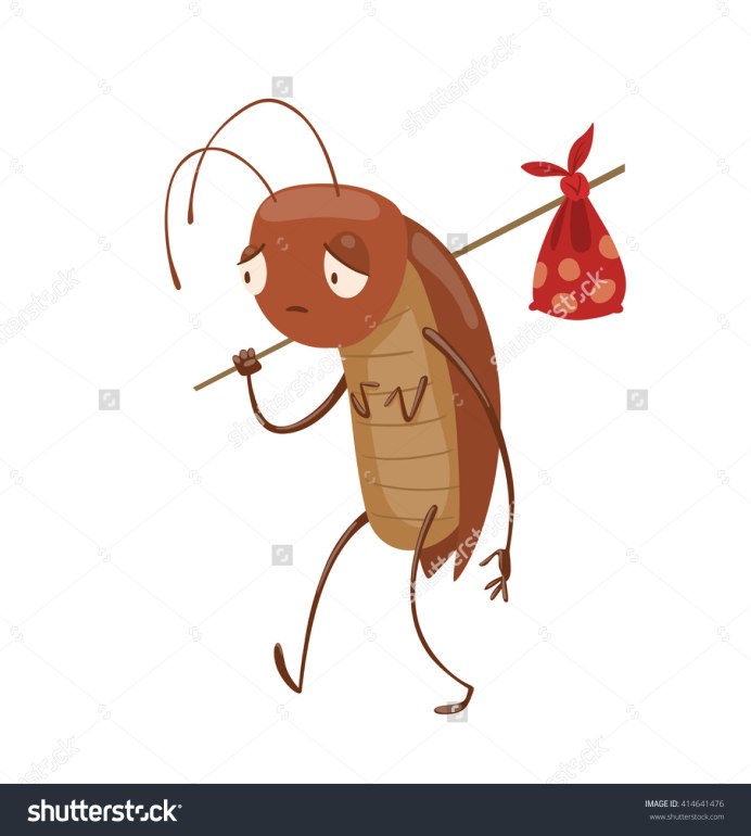 Рыжий таракан Blattella Germanica