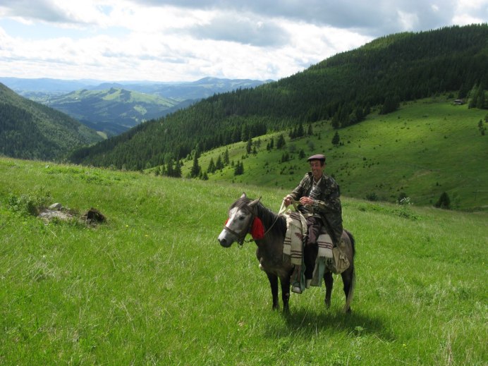 Лошадь керамика