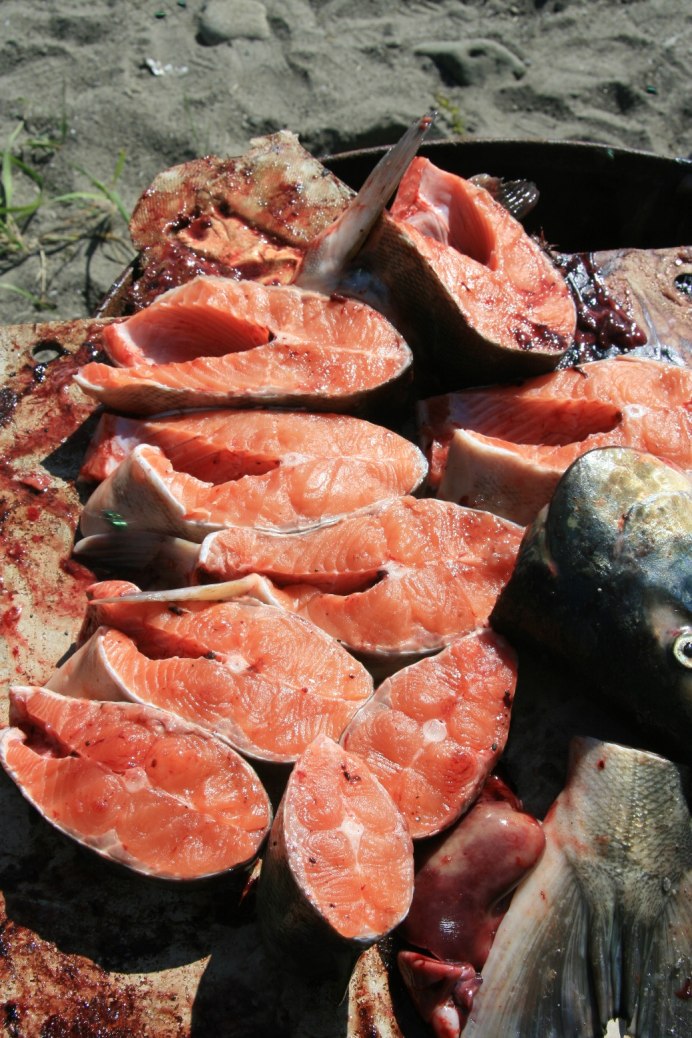 Таймень Дальневосточный