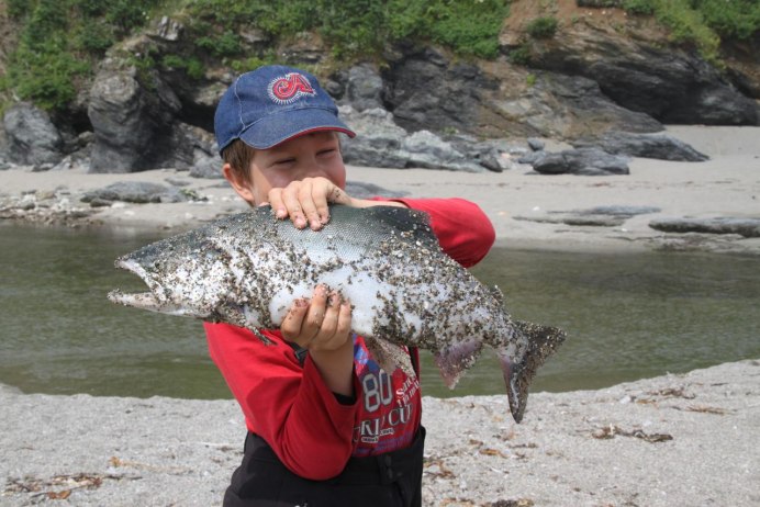 Рыба горбуша Сахалинская