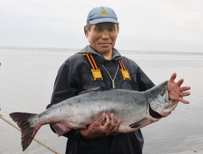 Сахалин лосось