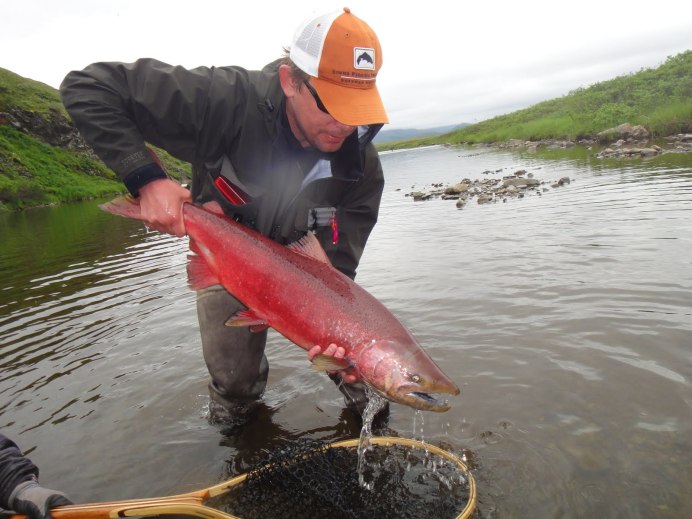 Лосось кижуч