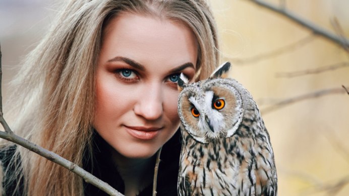 Сова птица мудрости