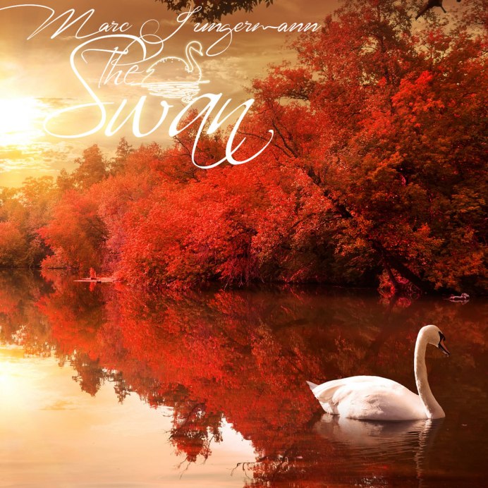 Лебеди на озере