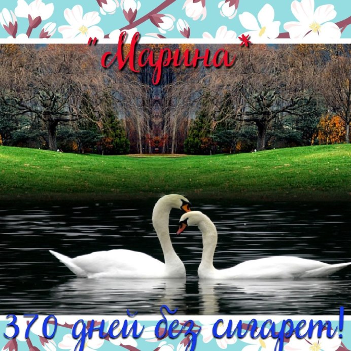 Осеннее озеро с лебедями