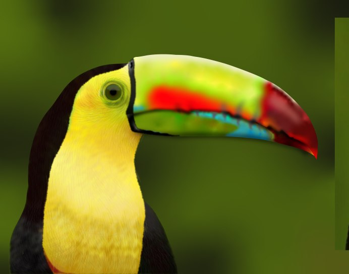 Турако Ливингстона