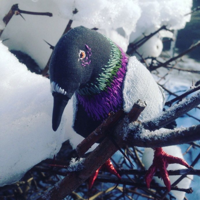 Пара голубей