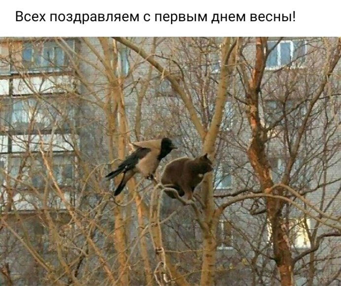 Хорошо сидим картинки