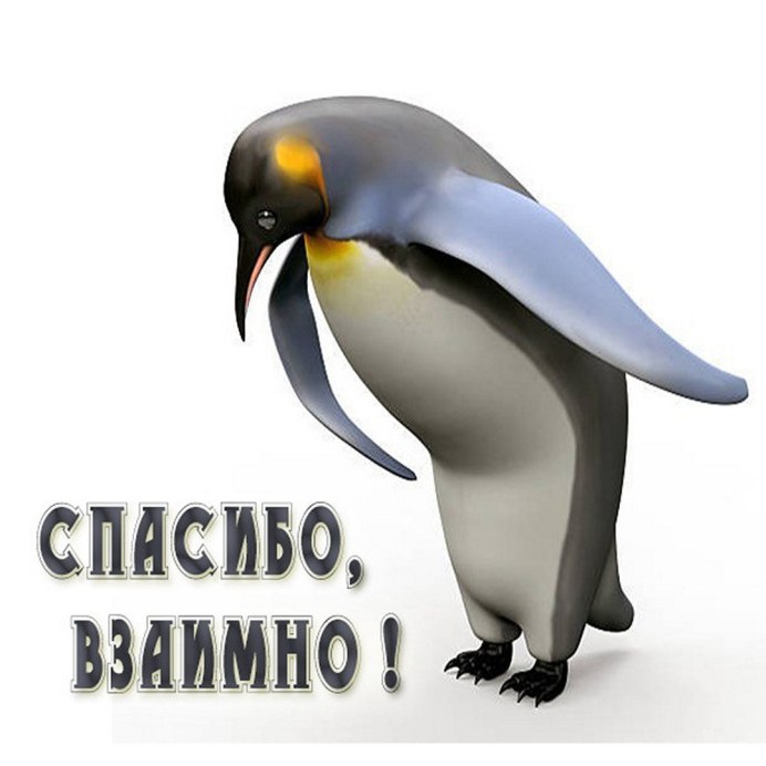 Мадагаскар улыбаемся и машем