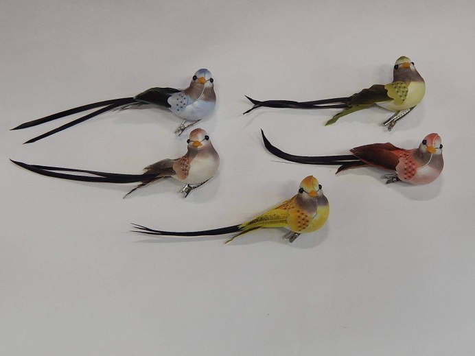 Декоративные птицы