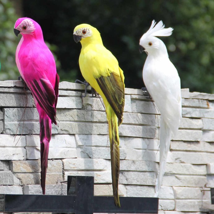 Виды кормов для птиц: чем кормить декоративных и певчих птиц дома