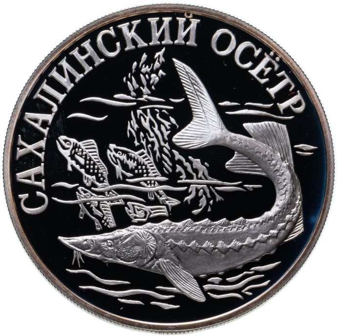 Река Тумнин Хабаровский край