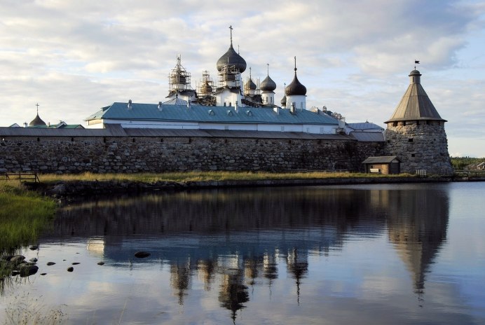 Кольский полуостров тюлени