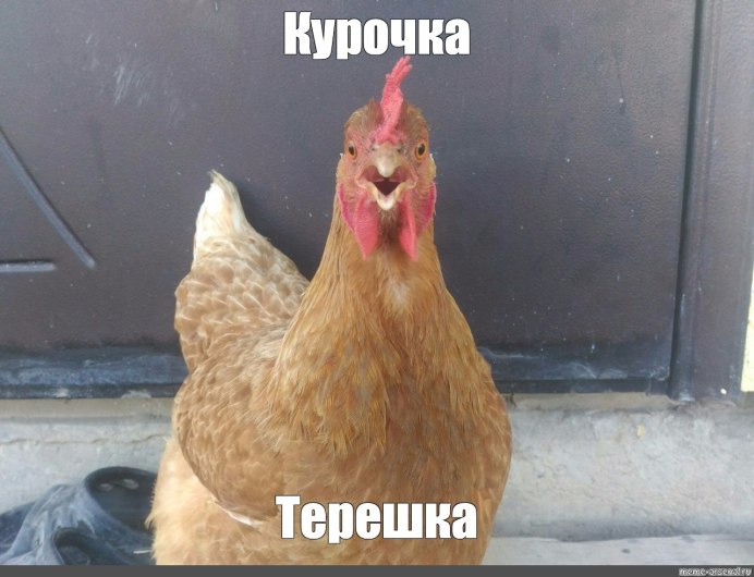 Мемы с курами