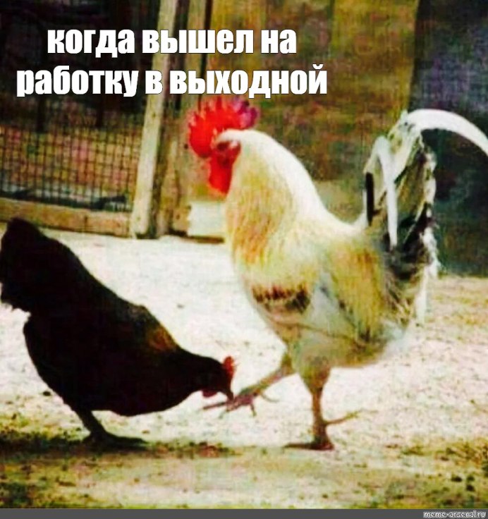 Петух Мем