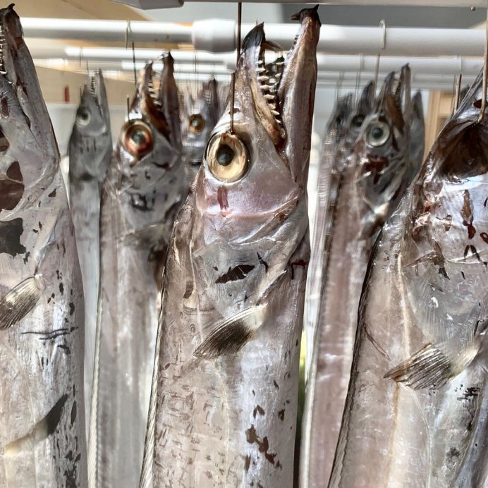 Рыба сабля на белом фоне