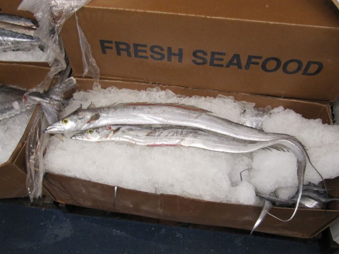 Лептуракант малоголовый