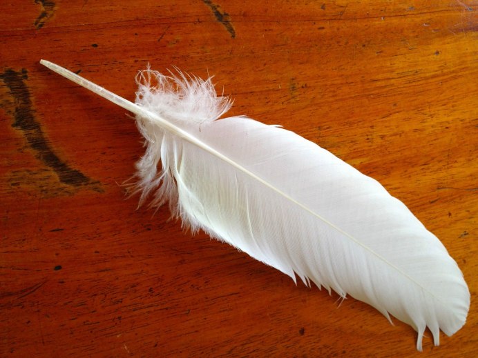 Поделки из гусиных перьев