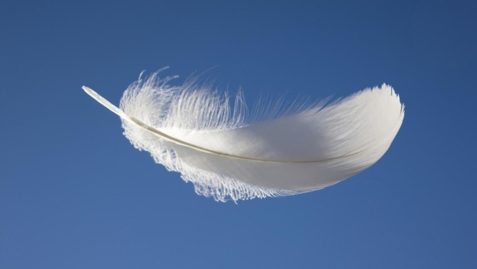 Лебединое перо