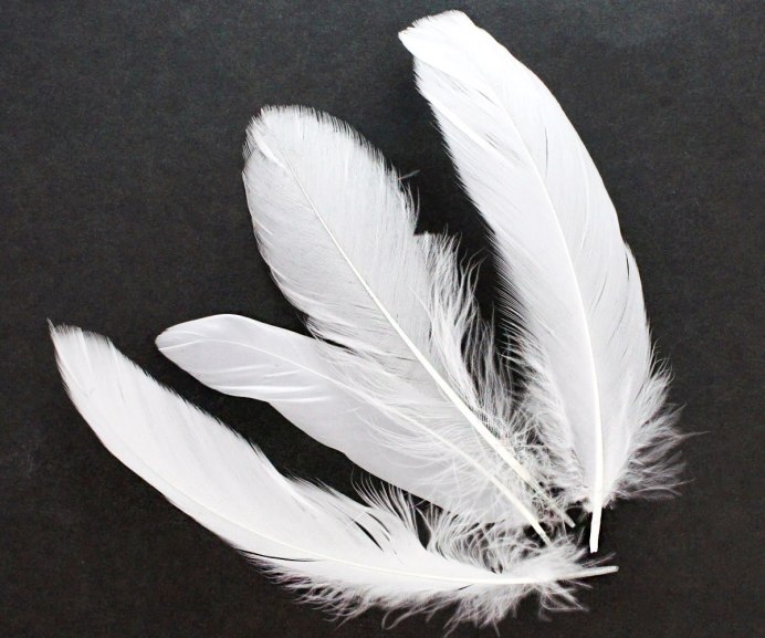 Лебедь большой