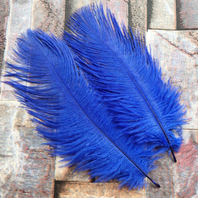 Пуховые перья птиц