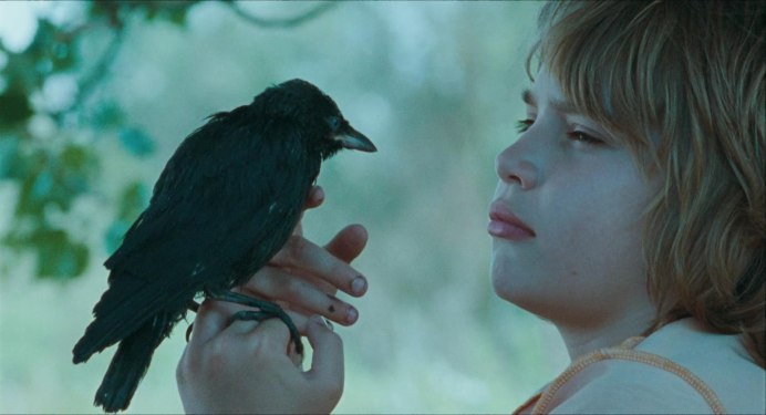 Слеток Грача