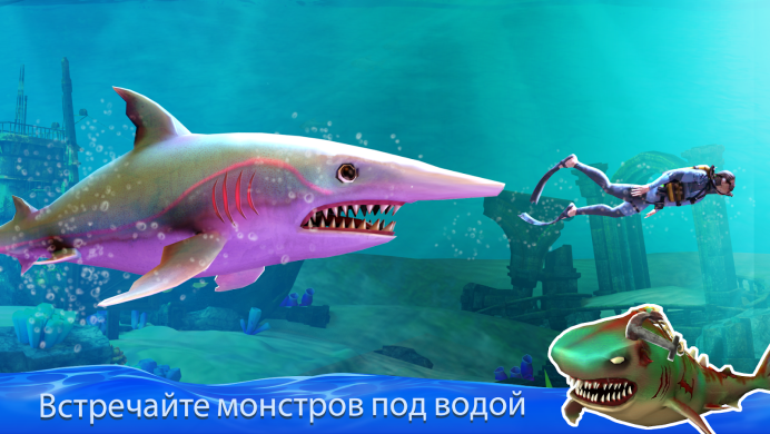 Какая самая большая акула