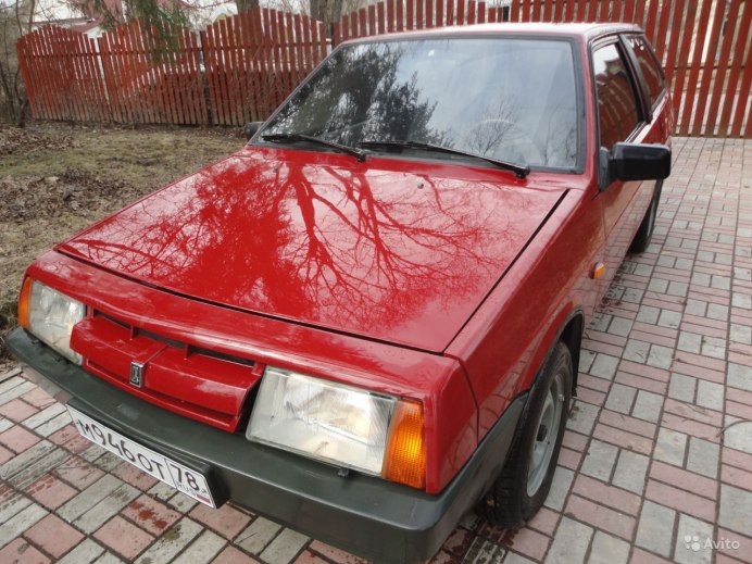 Стафилин caesareus