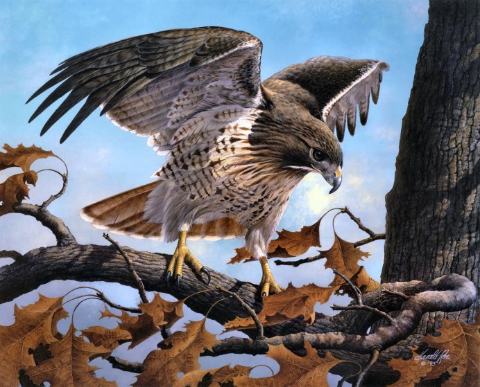 Картинки на рабочий стол птички