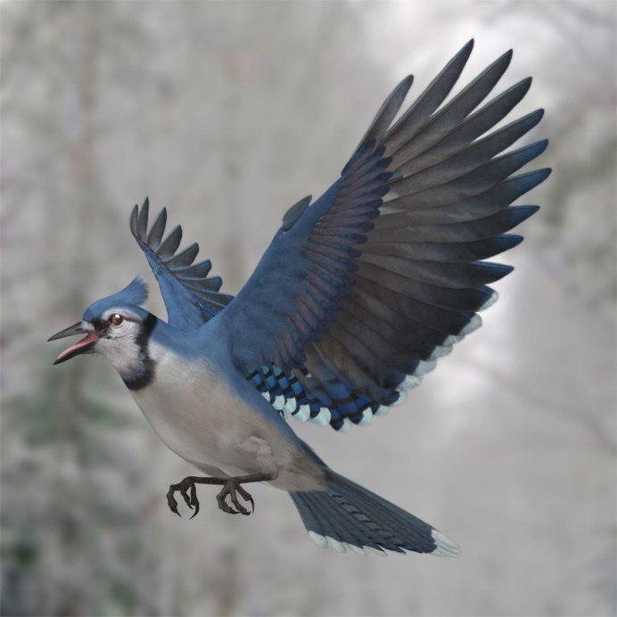 Филин обыкновенный размах крыльев