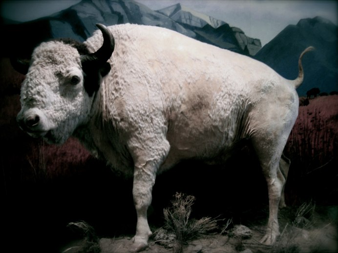 Bison в стиле